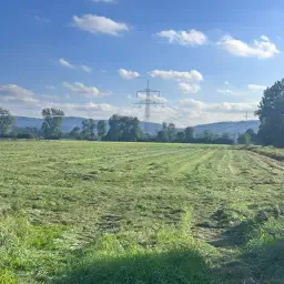 Silagebalen 2e + 3e snede &amp; Luzernebalen Hille