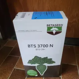 5 pakken Nieuw Bietenzaad BTS 3700 N CR+ Buteo Ruil