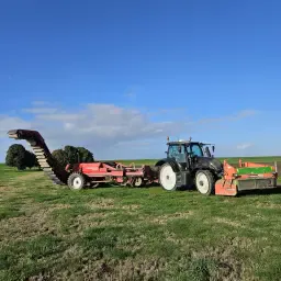 Rode Bieten Rooien Loonwerk – Bedden 1,50m, Flevoland