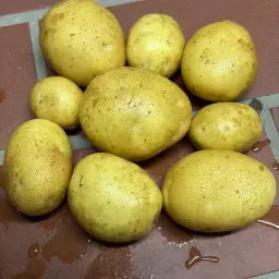 Aardappelen Sorte Lilly te koop | Bulk +35mm, ca. 80 ton