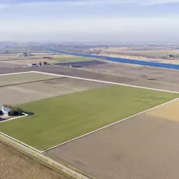 10 ha Tulpenland te Huur | Contractteelt Mogelijk