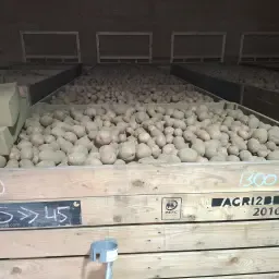 Bildtstar &amp; Frieslander Aardappelen uit Polderklei