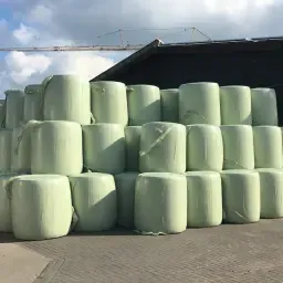 Maissilagebalen Oogst 2026 - Hoogwaardig Veevoer