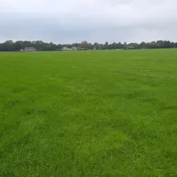 Gras oogsten: 80 ha 6e snee met compleet loonwerk