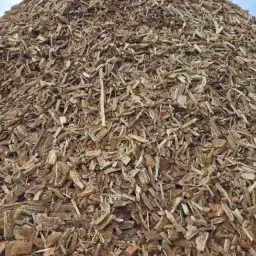 G30 Wood Chips For Sale – High-Quality Biomass Fuel