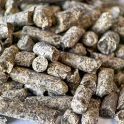 Suikerbietenpulp Pellets: Vezelrijk Voer voor Vee en Paarden