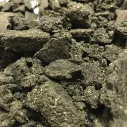 Zonnebloempittenkoek | Eiwitrijk Diervoeder Ingrediënt