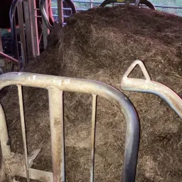 Mooie Kuilbalen Te Koop | Kwaliteit Voer Voor Vee