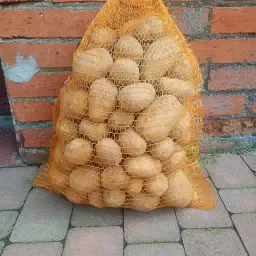 Verse Melody Aardappelen | Lekker, Geel Vlees | Te Koop