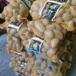 Vastkokende Overmaatse Aardappelen – 12,5 &amp; 25 kg Zakken