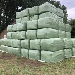 Kuilgrasbalen voor paarden - Week gedroogd en van topkwaliteit