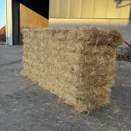 Engels Raai Graszaadhooi | Grote Gesneden Balen 350 kg