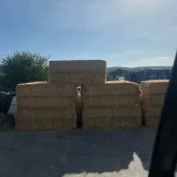 Fine Cut Straw Square Bales for Sale - Premium Quality