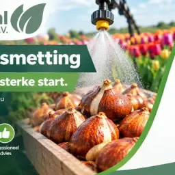 Middelen voor Bolontsmetting Nodig | Agri Producten