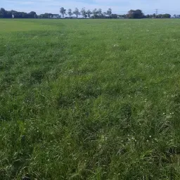 6.80 ha grasland te maaien – Zelf maaien voor veevoer