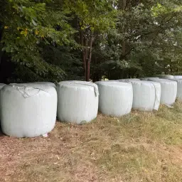 24 Silage Bales for Sale - High-Quality Livestock Feed