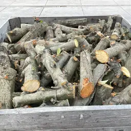 Quality Apple Wood for Fireplace | Per Cubic Meter