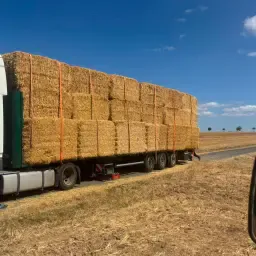 Uncut Wheat Straw Bales (120x90x230) - Dry Pressed, 420kg