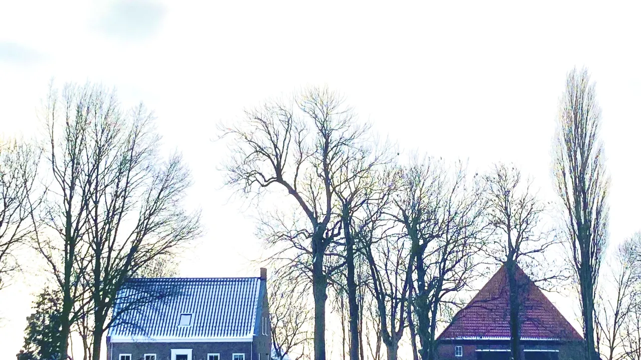 Mts hopmans Vant westeinde