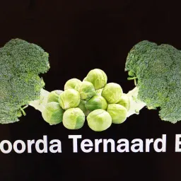 Roorda ternaard bv