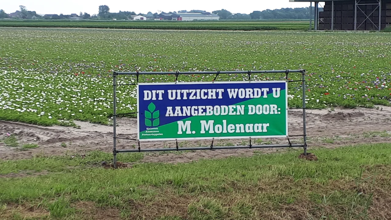 M Molenaar