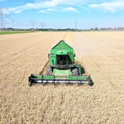 Maatschap landbouwbedrijf Boer