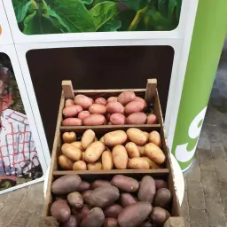 Mostagro VOF