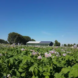 Lbb Oosthoek vof
