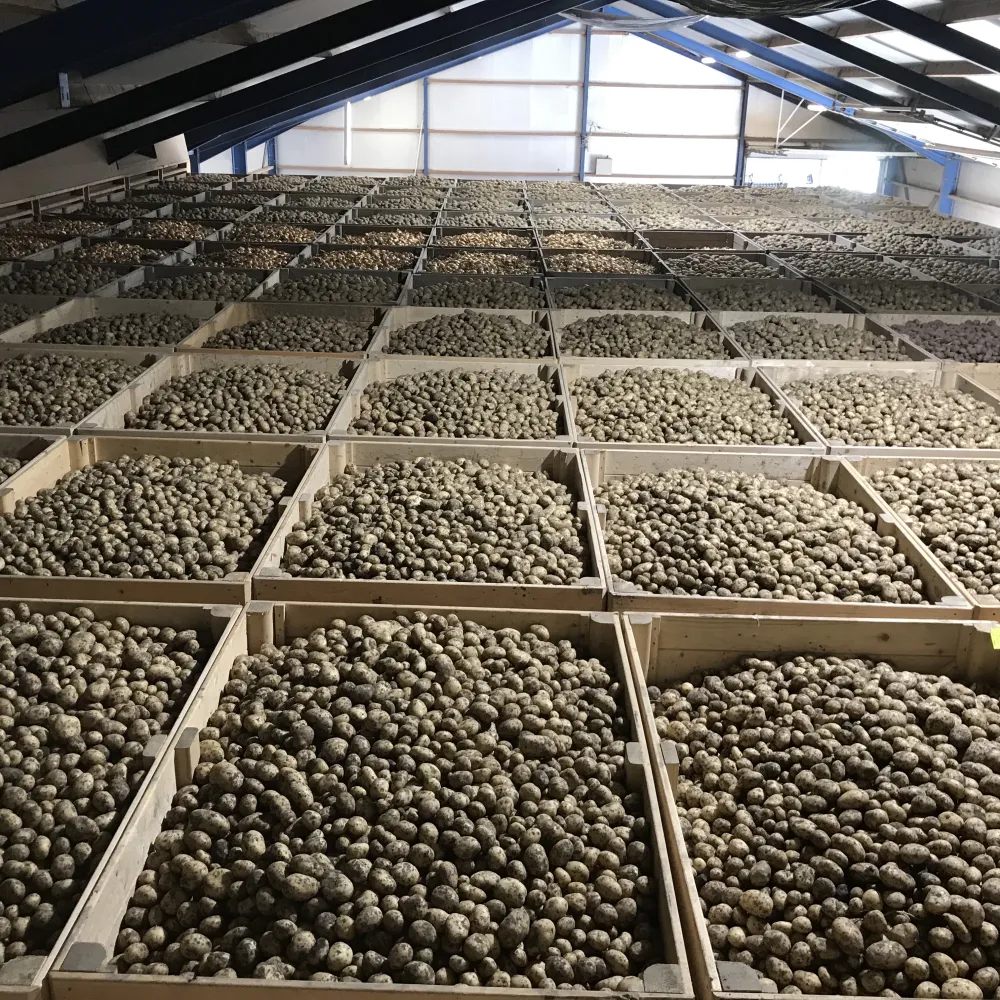 Joostema Loon en akkerbouw