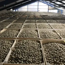 Joostema Loon en akkerbouw