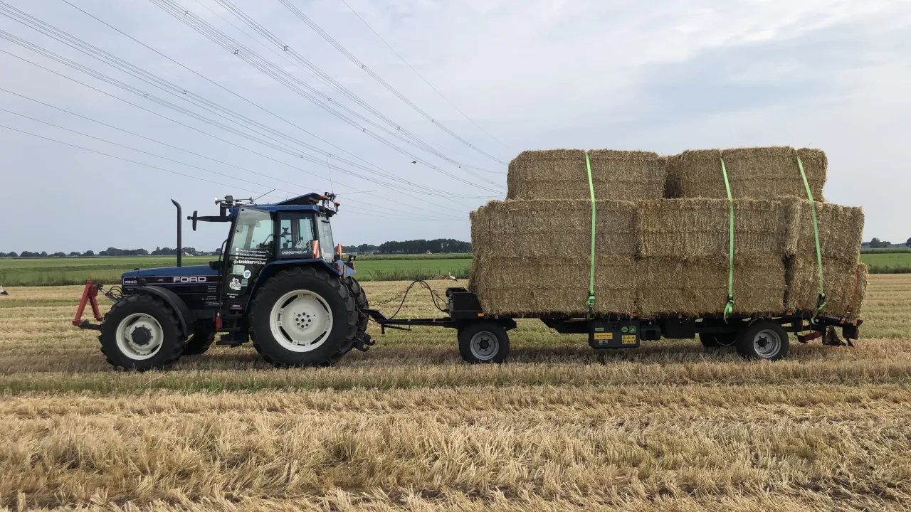 Doornbos Agribusiness