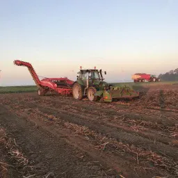 De Jonge Zeewolde VOF