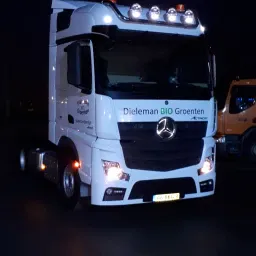 Dieleman bio groenten vof