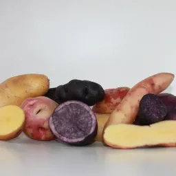 Aardappelhof