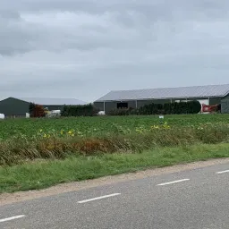 Dees akkerbouw