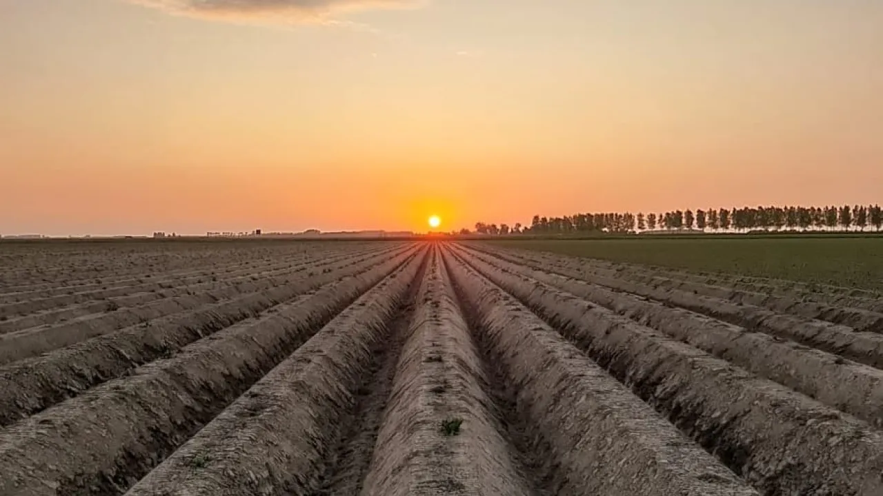 Mts vd Maas-van 't Westeinde