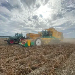 Knijffagro