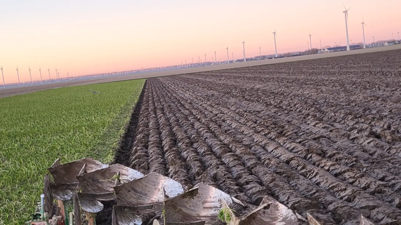 Knijffagro
